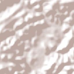 São José da Laje Terrain Map