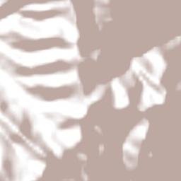 Carlos Fermin Fitzcarrald Terrain Map