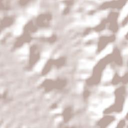 Porto Calvo Terrain Map