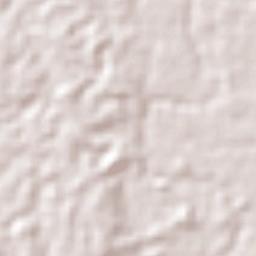 Sena Madureira Terrain Map