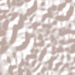 Japaratinga Terrain Map