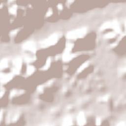 União dos Palmares Terrain Map