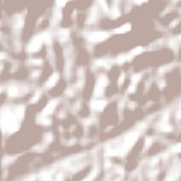 Joaquim Gomes Terrain Map