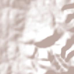 Bom Conselho Terrain Map