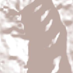 Asuncion Terrain Map