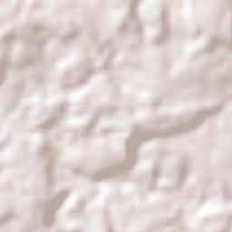 Porto Velho Terrain Map