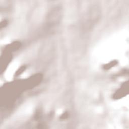 Pariconha Terrain Map