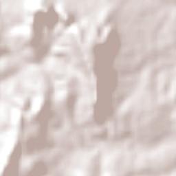 Anísio de Abreu Terrain Map