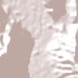 Tingo María Terrain Map