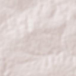 Chorrochó Terrain Map