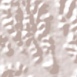 São Luís do Quitunde Terrain Map