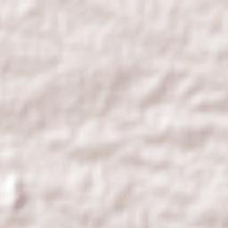 Senador Rui Palmeira Terrain Map