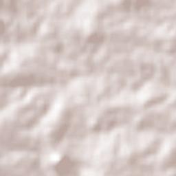 Dois Riachos Terrain Map