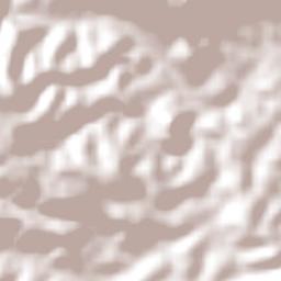 Paulo Jacinto Terrain Map