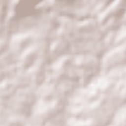 Palmeira dos Índios Terrain Map