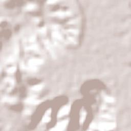 Rio Largo Terrain Map