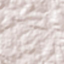 Cotriguaçu Terrain Map