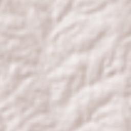 Major Isidoro Terrain Map