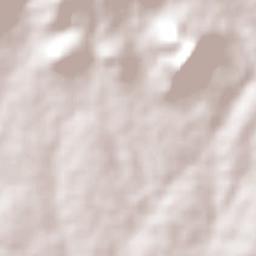 São José da Tapera Terrain Map