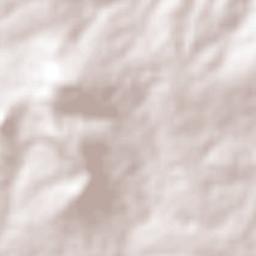 Monteirópolis Terrain Map