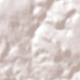 Taquarana Terrain Map