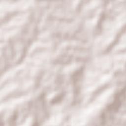 Palestina Terrain Map