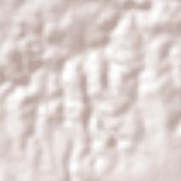 Arapiraca Terrain Map