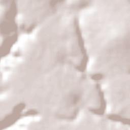 Limoeiro de Anadia Terrain Map