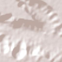 São Miguel dos Campos Terrain Map