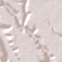 Jequiá da Praia Terrain Map