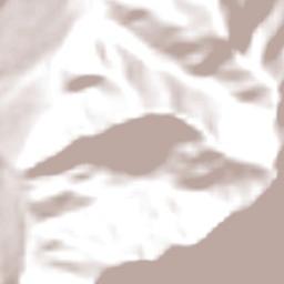 Huánuco Terrain Map