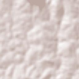 Campo Grande Terrain Map