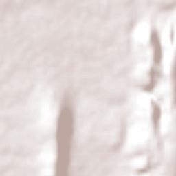 Pilão Arcado Terrain Map