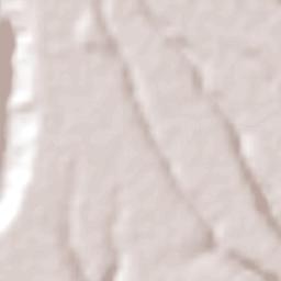 Teotônio Vilela Terrain Map