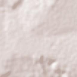 Aparecida do Rio Negro Terrain Map