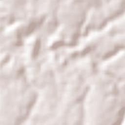 Avelino Lopes Terrain Map