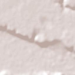 Coruripe Terrain Map