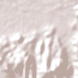 Torres Strait Island Region Terrain Map