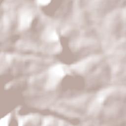 Jaguarari Terrain Map