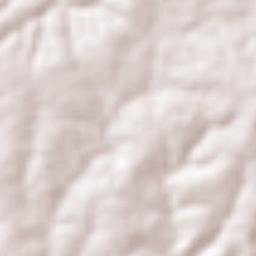 Gracho Cardoso Terrain Map