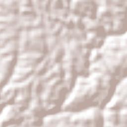 Coronel João Sá Terrain Map