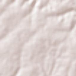 Corrente Terrain Map