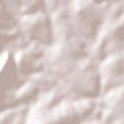 Senhor do Bonfim Terrain Map