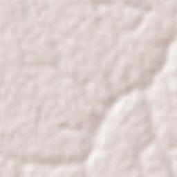 Provincia Abuná Terrain Map