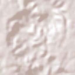 Sebastião Barros Terrain Map