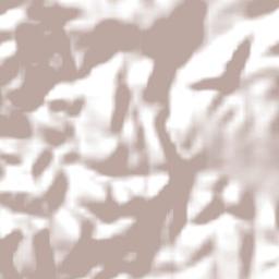 Antônio Gonçalves Terrain Map