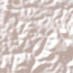 Santa Rosa de Lima Terrain Map