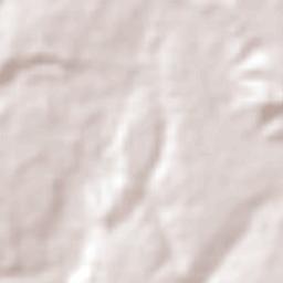 Oliveira de Fátima Terrain Map