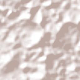 Divina Pastora Terrain Map