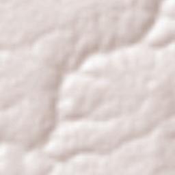 Cansanção Terrain Map